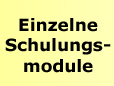 Detaillierte Schulung in professioneller Autoaufbereitung