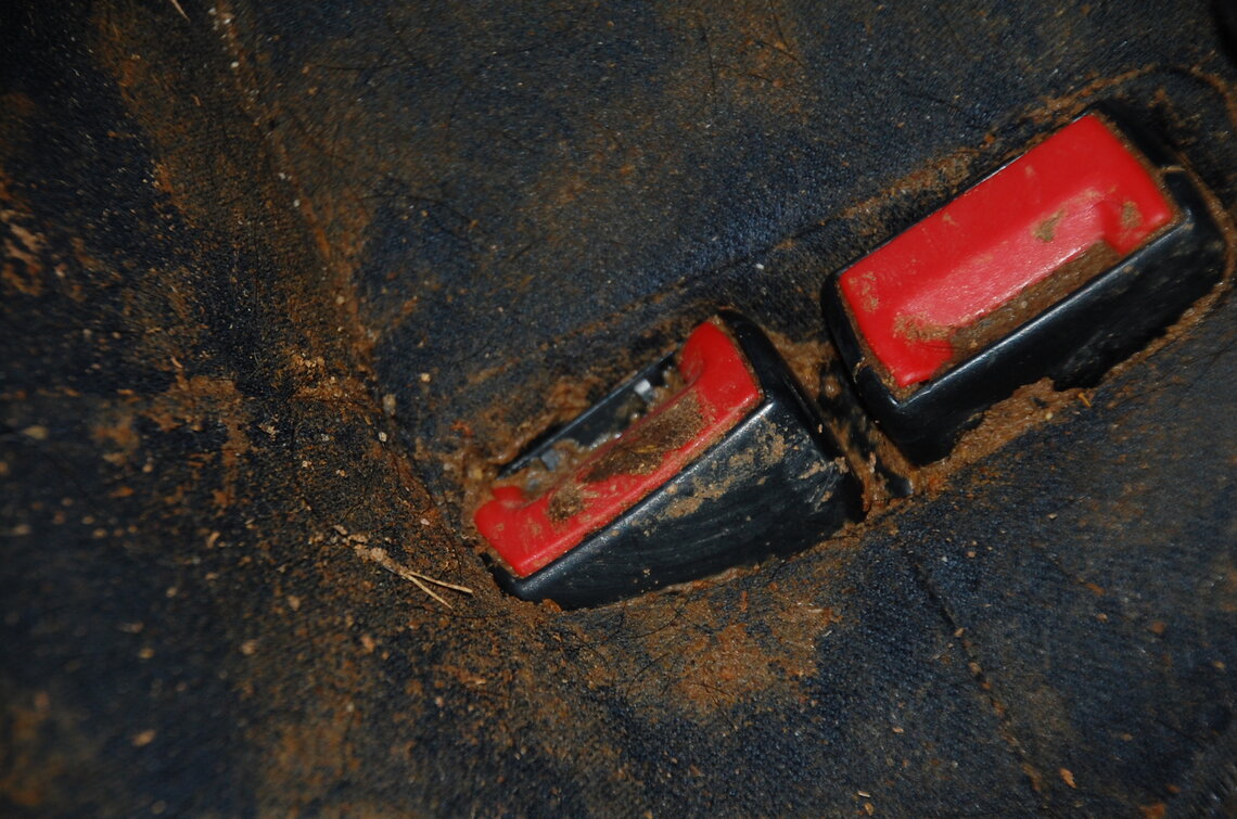 Reinigung & Desinfektion von Erbrochenem. Auch für Taxiunternehmen