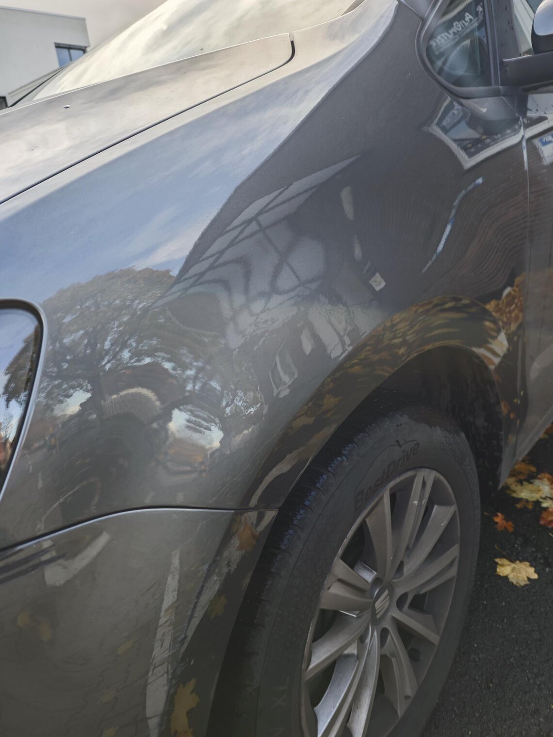 Kotflügel nach Dellendoktor Arbeit